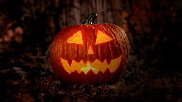 Watch Son of Ghoul Log Online