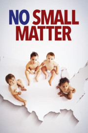 No Small Matter poster