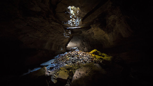 Watch A Long Hard Streak Online