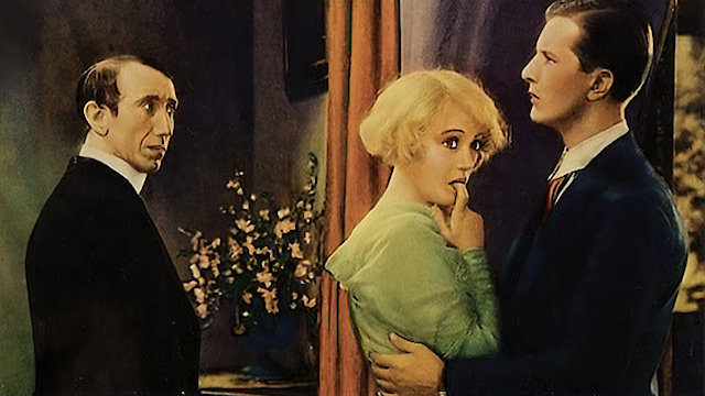 Watch Not So Dumb Online