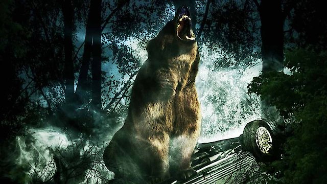 Watch Bear Online