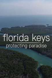 Florida Keys: Protecting Paradise poster
