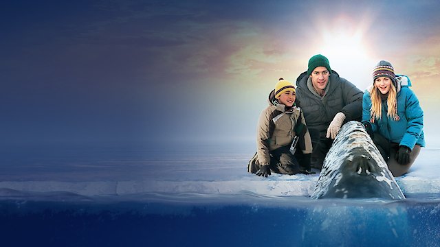 Watch Big Miracle Online