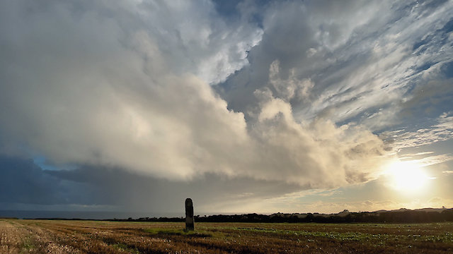 Watch A Year In A Field Online