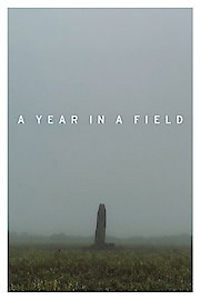 A Year In A Field
