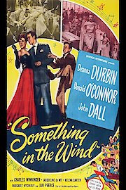 Something In The Wind poster