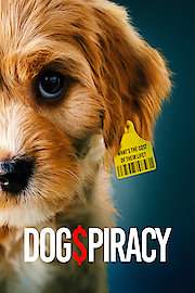 Dogspiracy