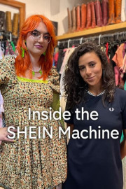 Inside the Shein Machine