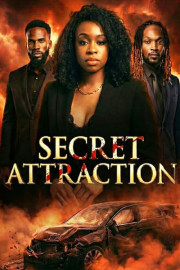Secret Attractions poster