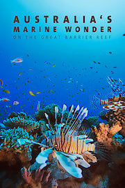 Australia's Marine Wonder on the Great Barrier Reef