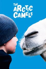 The Arctic Camels