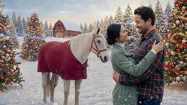 Watch Single Before Christmas Online