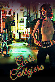 Gato Callejero poster
