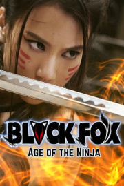 Black Fox: Age of the Ninja poster