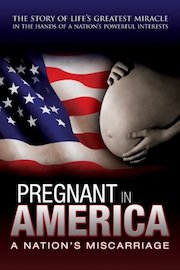 Pregnant in America poster