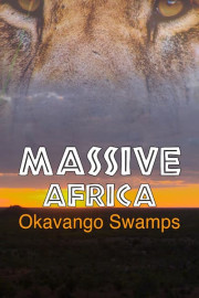 Massive Africa: Okavango Swamps