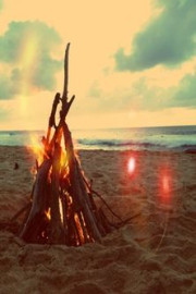Beach Bonfire
