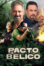 Pacto belico