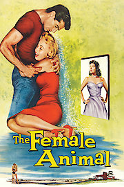 The Female Animal poster