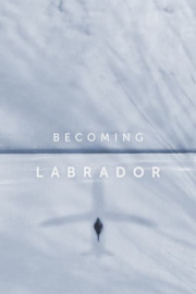 Becoming Labrador poster