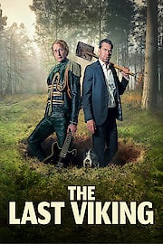 The Last Viking poster