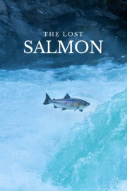 The Lost Salmon poster
