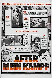 After Mein Kampf