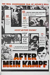 After Mein Kampf