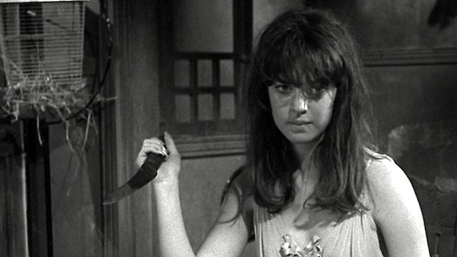 Watch Spider Baby or, The Maddest Story Ever Told Online