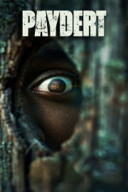 Paydert poster