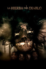 La hierba del Diablo poster