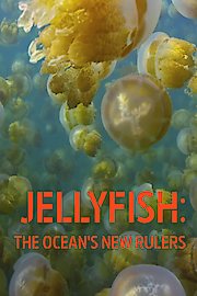 Jellyfish: The Ocean's New Rulers