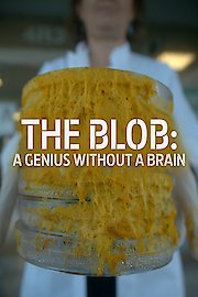 The Blob: A Genius Without a Brain poster