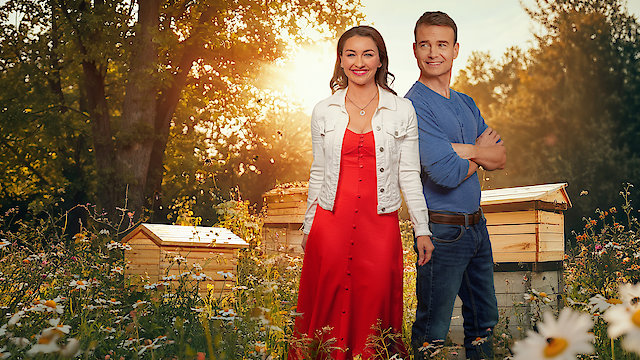 Watch Bee My Love Online