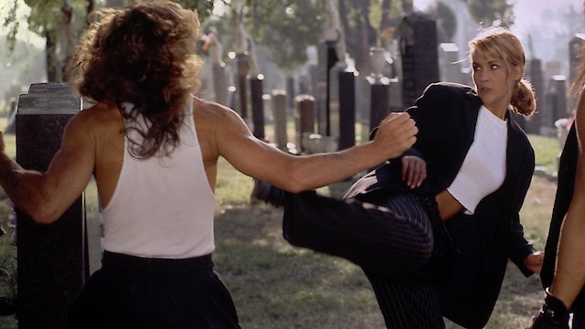 Watch Excessive Force II: Force on Force Online