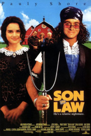 Son-In-Law poster