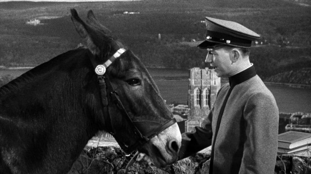 Watch Francis Goes to West Point Online