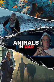 Animals in War poster