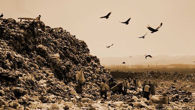 Watch Waste Land Online