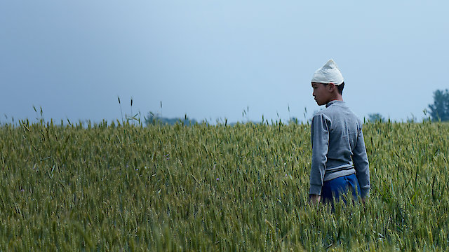 Watch Living the Land Online