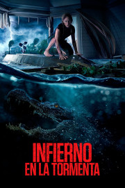 Infierno en la tormenta poster