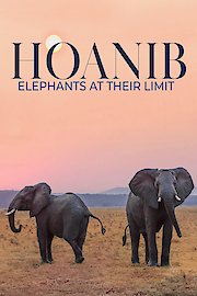 Hoanib