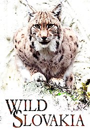 Wild Slovakia poster