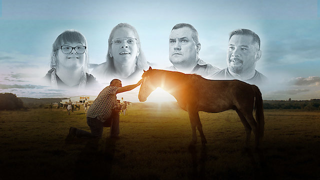 Watch Where the Horses Heal the Soul Online