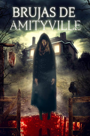 Brujas De Amityville poster