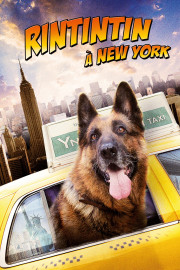 Perro Genial poster