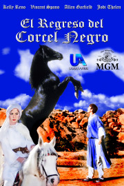 El regreso del corcel negro poster
