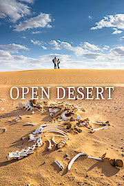 Open Desert poster