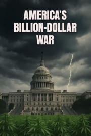 America's Billion-Dollar War poster
