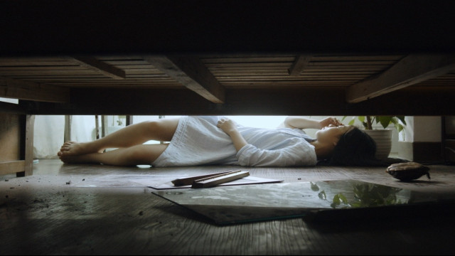 Watch Vanishing Days Online